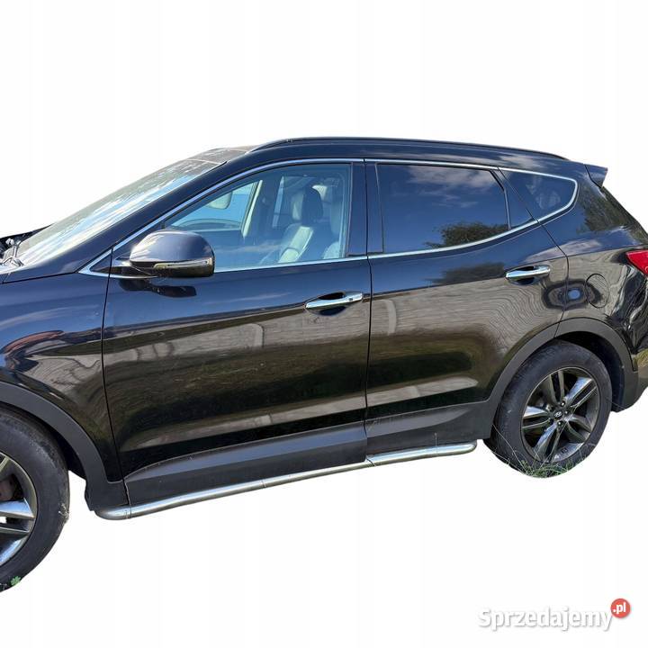 Drzwi przednie lewe kompletne Hyundai Santa Fe wielkopolskie Barłogi