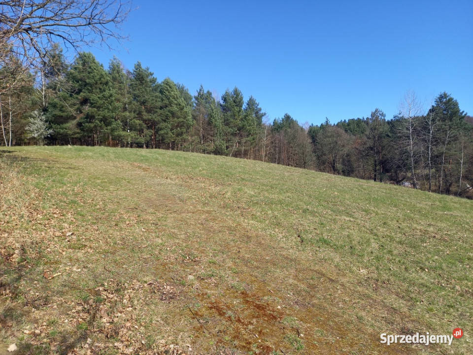 Na sprzedaż działka w Sanoku w dzielnicy Sanok