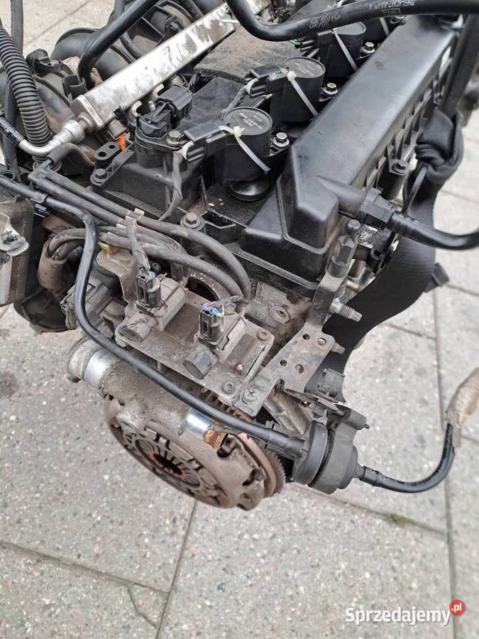 Ford Fokus 18 16V 125 silnik kompletny kod Q7DA Jastrzębie-Zdrój