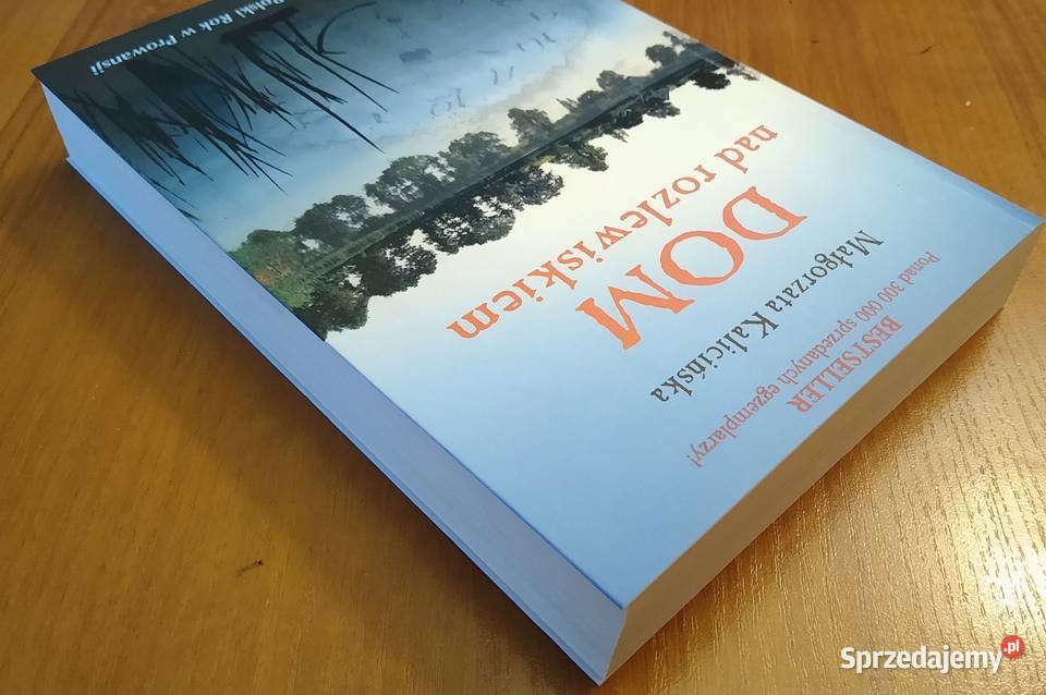 Dom rozlewiskiem Małgorzata Kalicińska Gdańsk