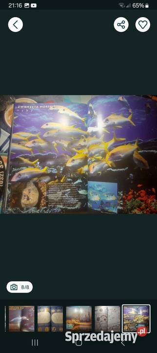 Morza i oceany Atlas Siemianowice Śląskie