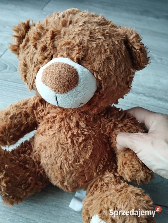 miś pluszak maskotka Poznań