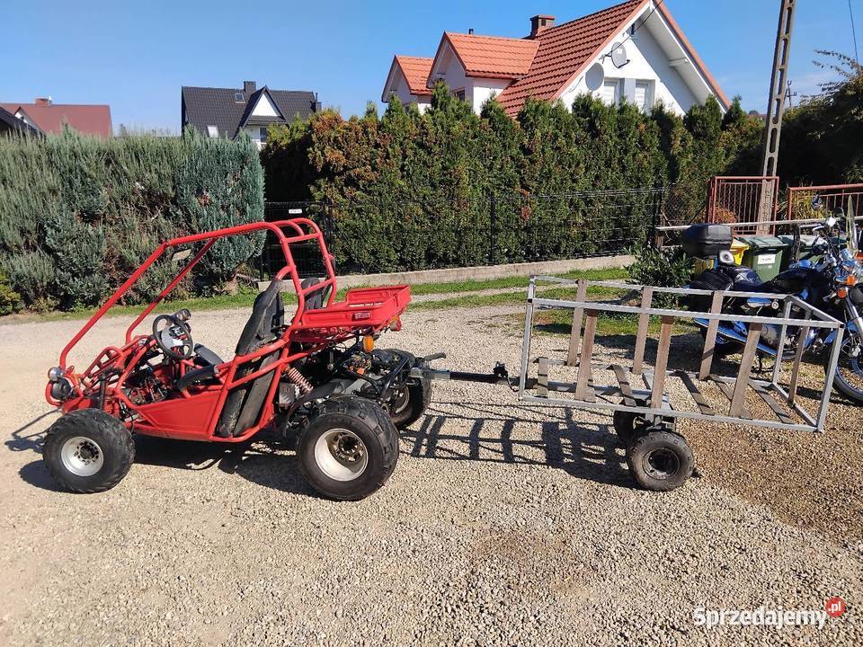 Buggy 150 quad Pozostałe Konina