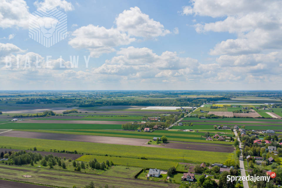 Grunt BieniewoWieś 1617m2 Sprzedaż Bieniewo-Wieś