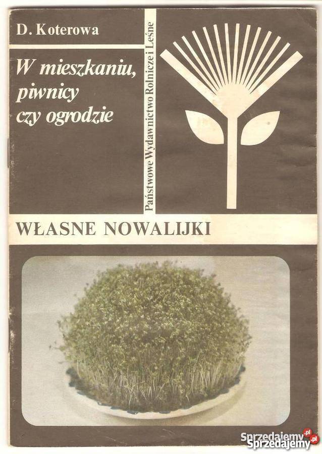 WŁASNE NOWALIJKI D KOTEROWA Warszawa