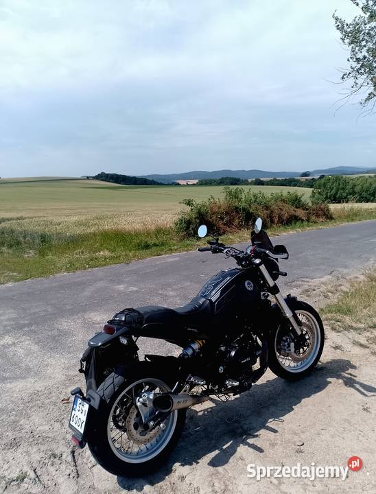 Benelli Leoncino 500 Scrambler Rok produkcji 2021 Benelli Opole