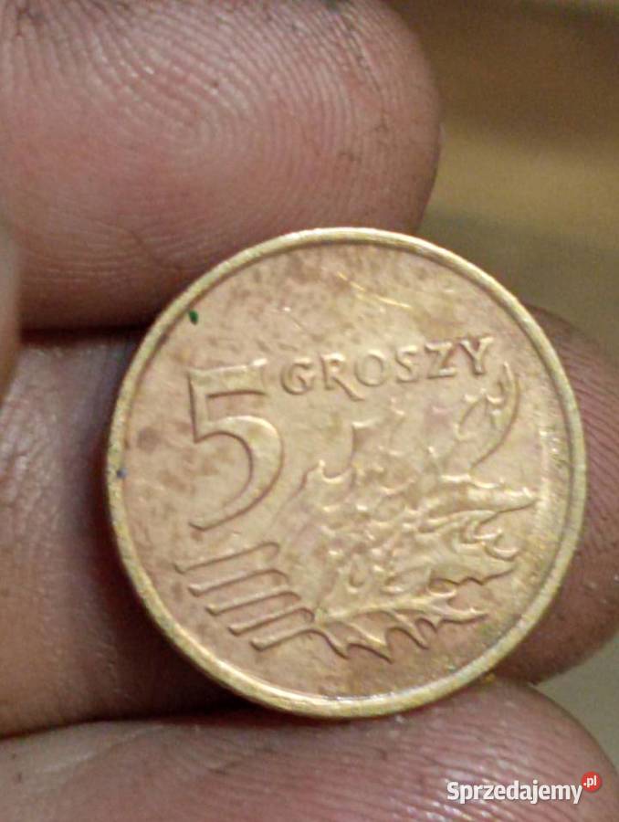 Sprzedam monete 5 groszy 1991 Chełm