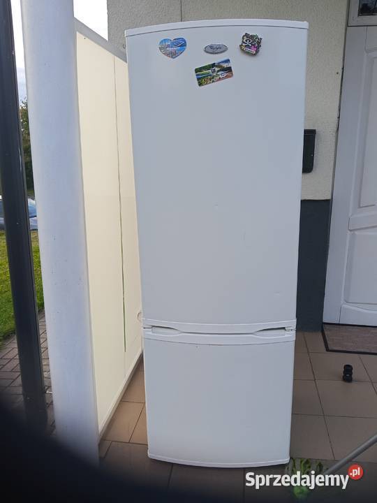 Lodówka Whirlpool wolnostojące Krasnopol sprzedam