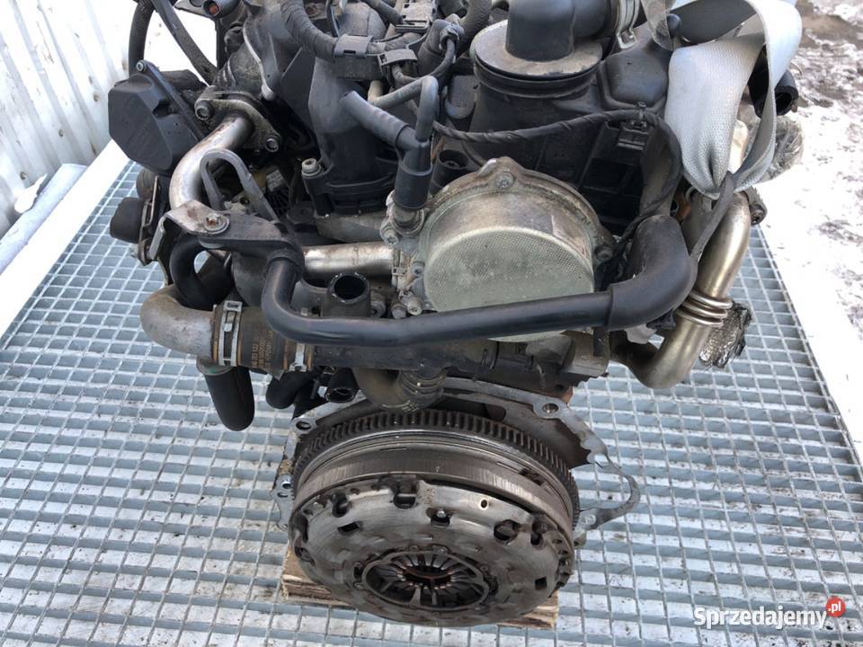 SILNIK KOMPLETNY VW 20 136 0616 CARFTER 30 35 podkarpackie sprzedam
