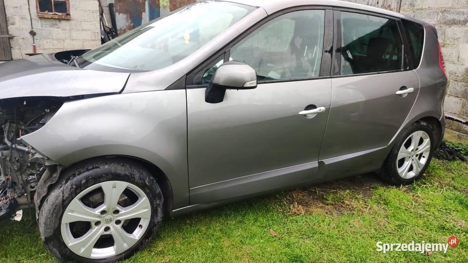 Renault Scenic 3 dzwi TEKNG Horodło
