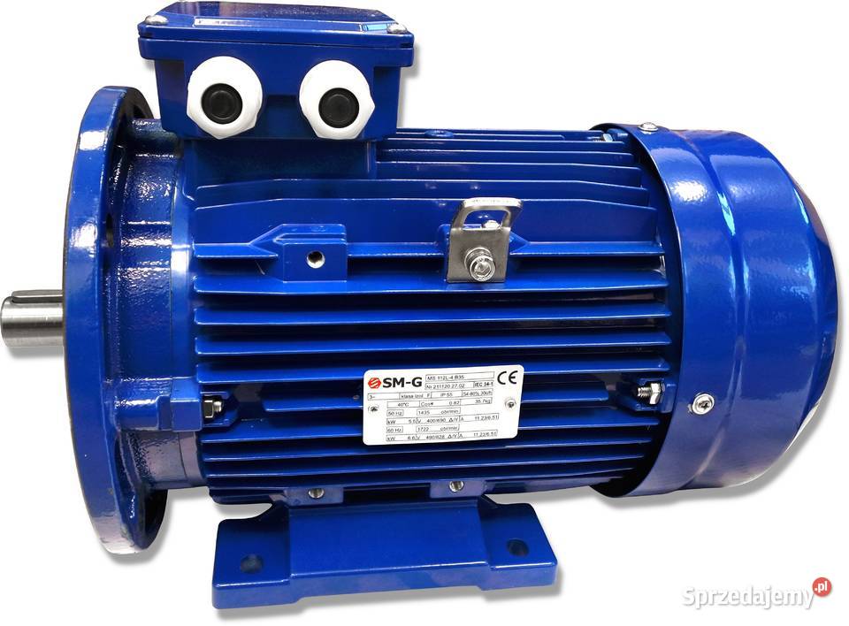 Silnik Elektryczny 55kW 400V 1435 obr WAŁEK 28mm Solec Kujawski