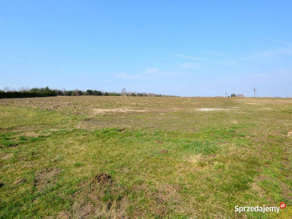 Ogłoszenie grunt 3698m Jawidz sprzedam