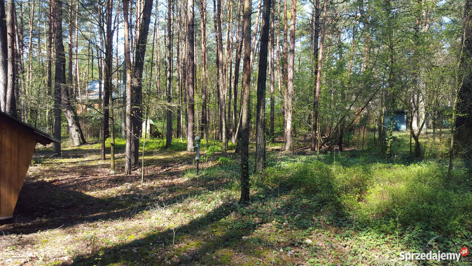 Działka na sprzedaż Wyszków RYBIENKO LEŚNE kostka