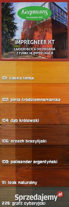 Lakierobejca KOOPMANS lubuskie Gorzów Wielkopolski