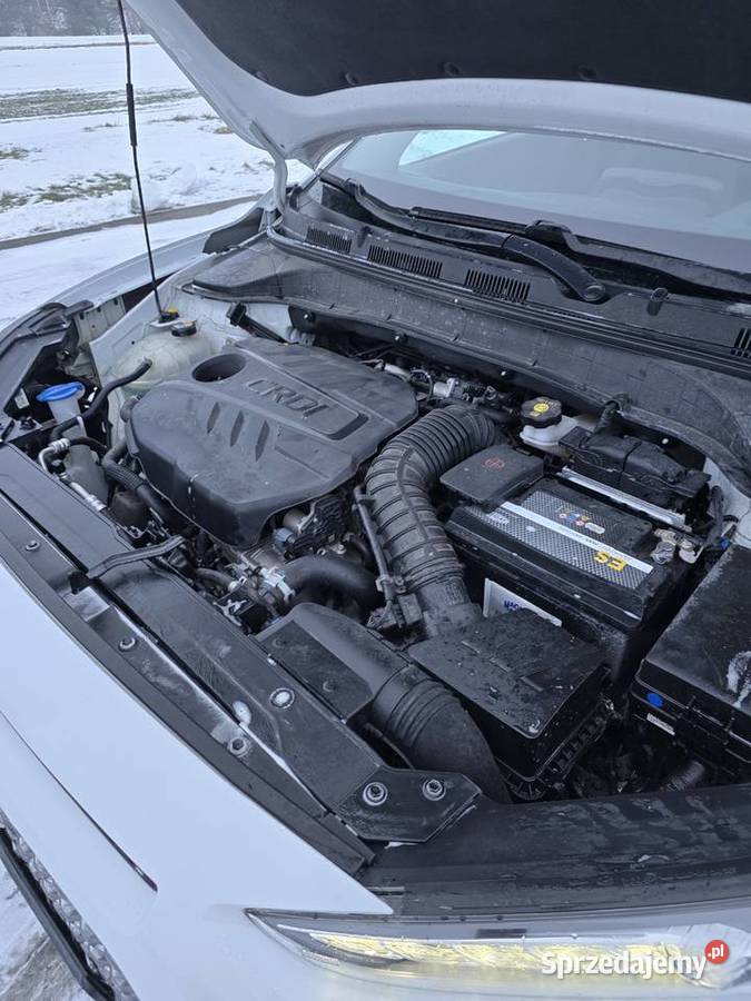 Hyundai kona 16 Rok produkcji 2019 Brzeziny