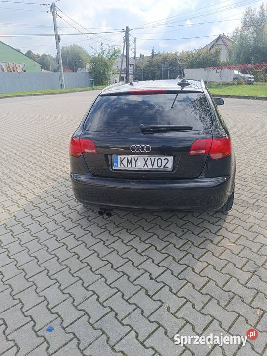 AUDI A3 8P Qulatro 20TDI 170 lakier metallic A3