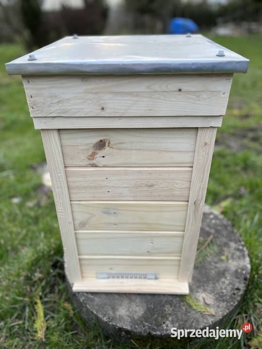 odkładowy warszawski poszerzanyzwykły Głogów Małopolski