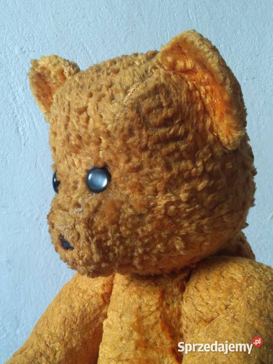 Stary chyba przedwojenny duży miś pluszowy mazowieckie Warszawa