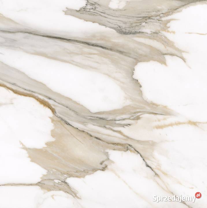 Gres Calacatta Gold satin 60x60K
