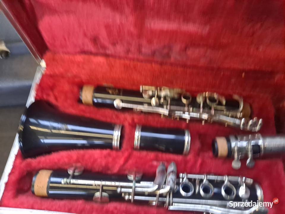 Gitara goshe japońska Głogów Małopolski