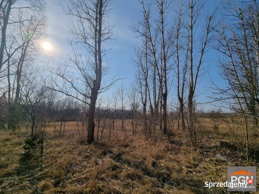 Sprzedam grunt Buniewice 1000m2 zachodniopomorskie