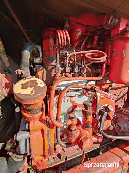 Ciągnik Traktor BELARUS MTZ50 Super MTZ50S 65 Tymowa