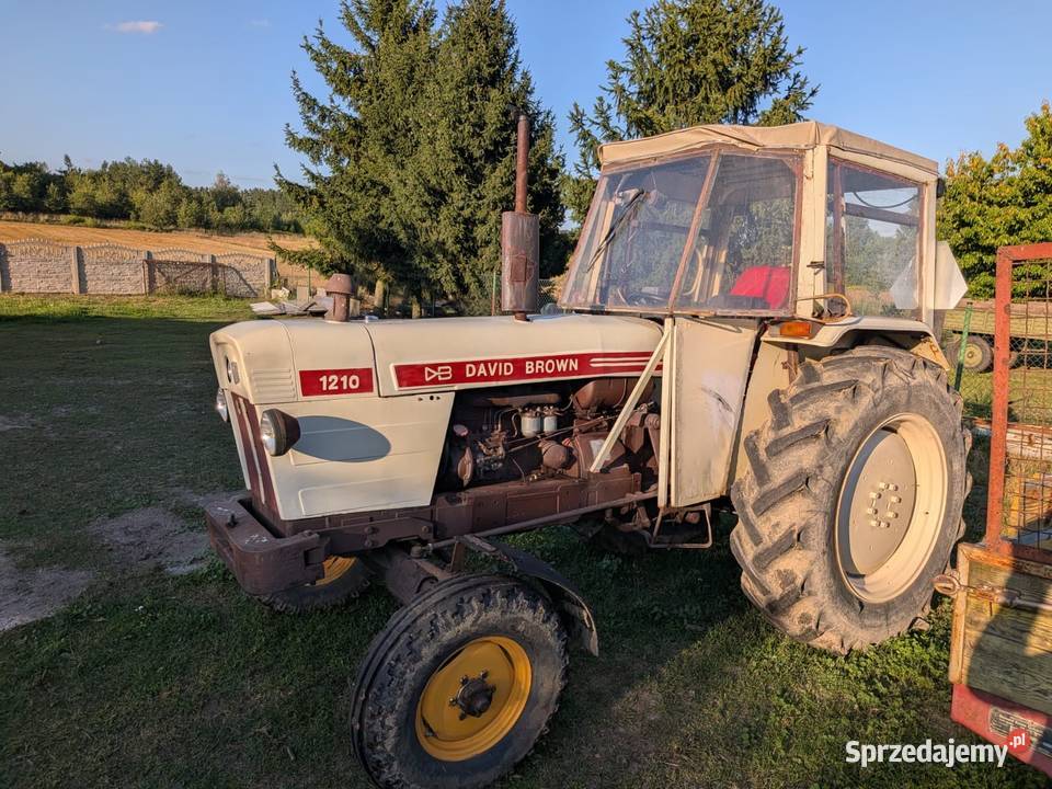 David Brown 1210 dolnośląskie Syców