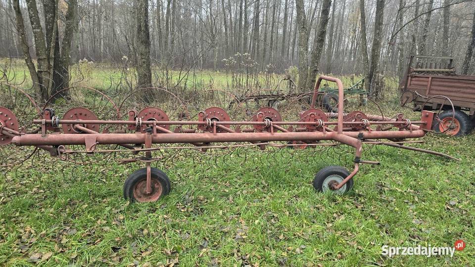 Grabarka 7 sloneczko Siedlce