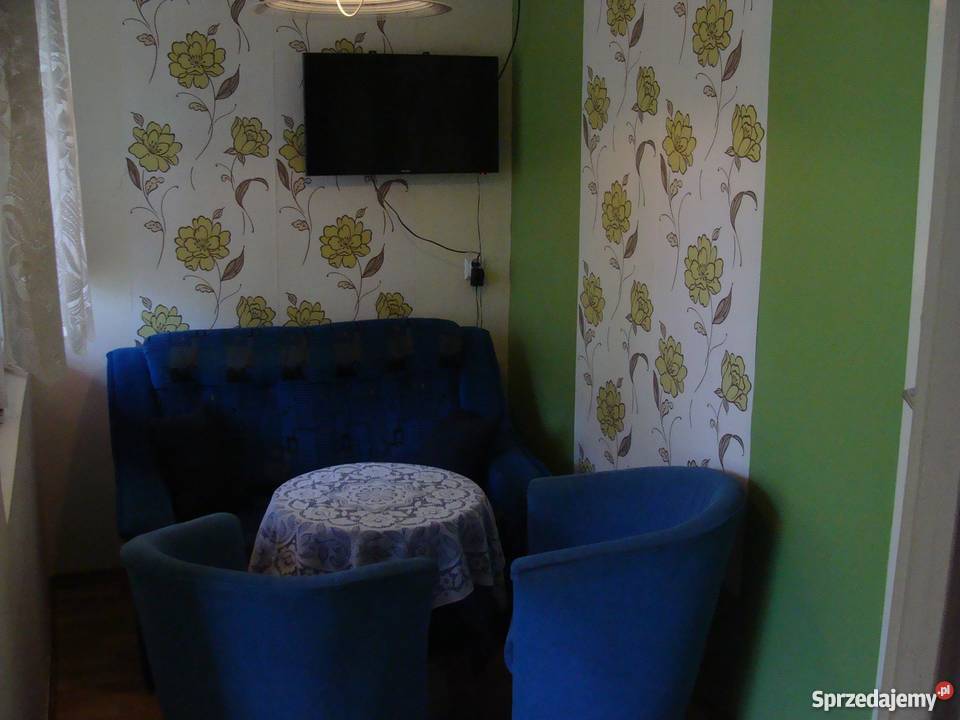 Skorzęcin domek letniskowy na sprzedaż ogródek