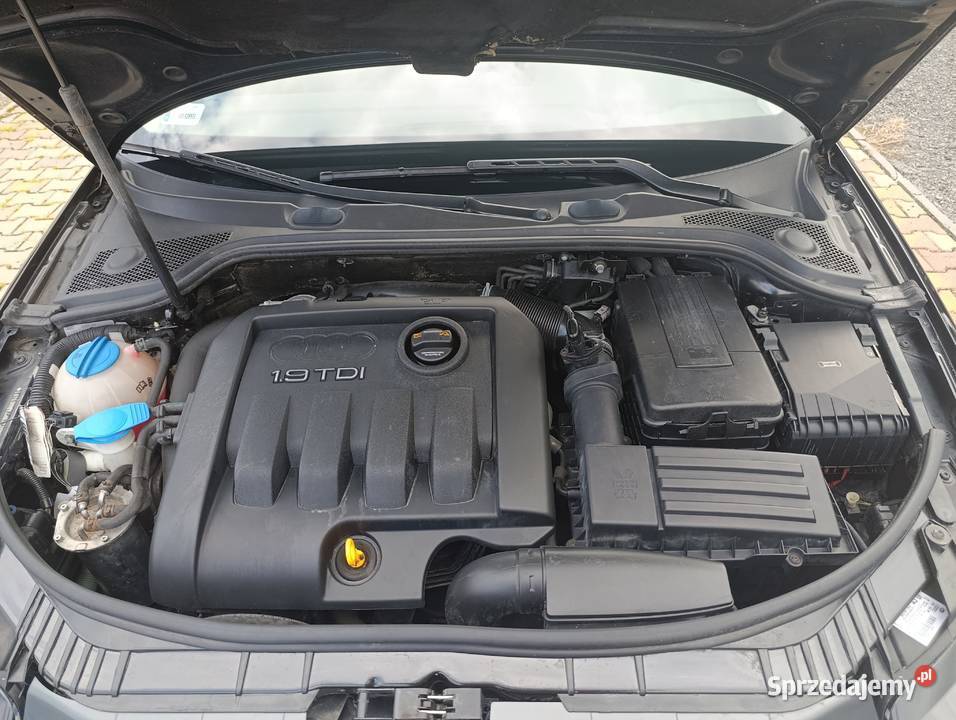 AUDI A3 8P19 TDI 105 Zadbana KLIMA 1900cm3 Bujaków