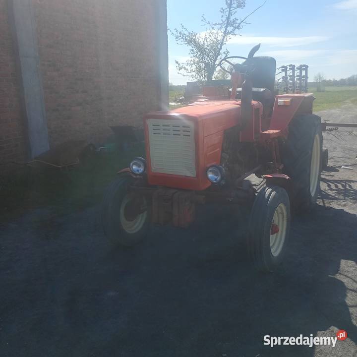 Sprzedam t25 Gęś sprzedam