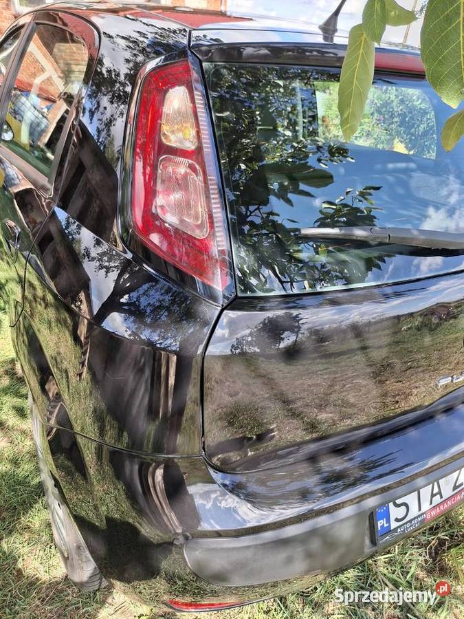 Fiat PuntoEvo opolskie Brzeziny Cieciułowskie