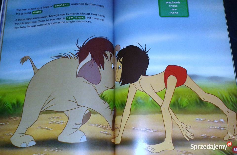 Step up 1 Storybook Listen and learn Disney Chełm sprzedam