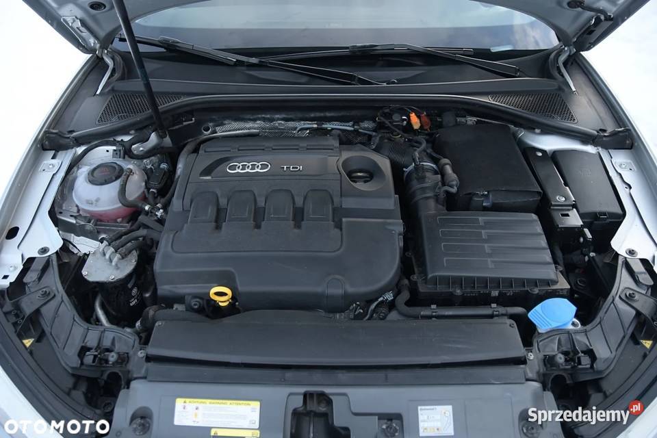 AUDI A3 20 TDI 150 Niemcy FULL PANORAMA XENON czujnik parkowania A3 Kielce