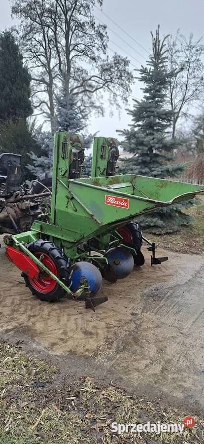 Sadzarka do ziemniaków Hassia 2 rzędowa Sieradz