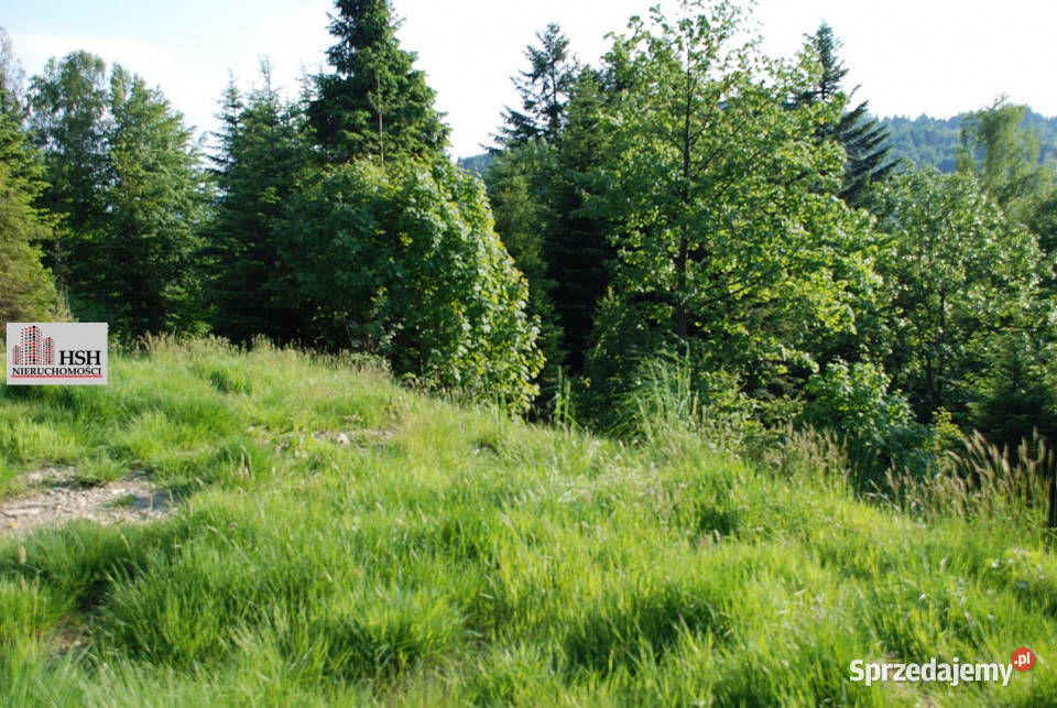 Działka do sprzedania Maków Podhalański 14000m2 gaz