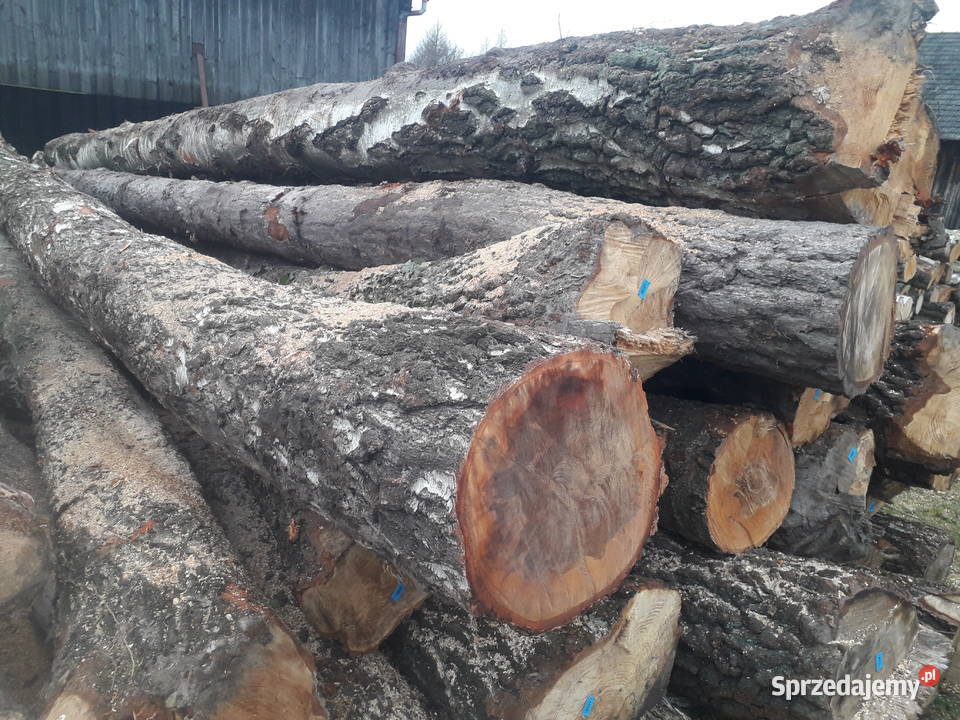 Brzoza tartaczna Drewno konstrukcyjne Nowe Żukowice