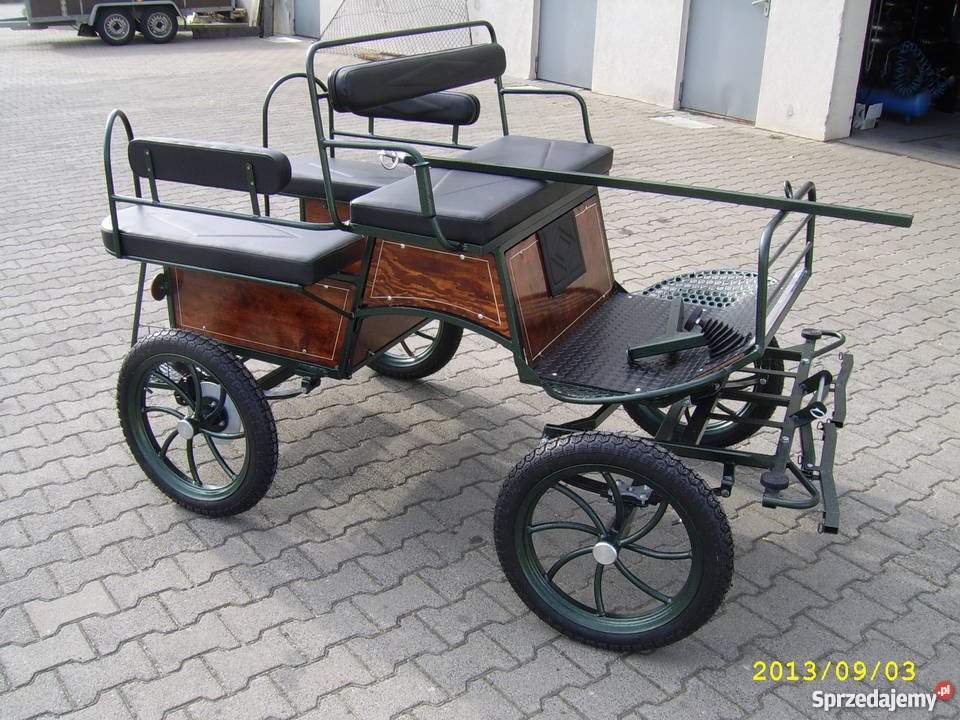 bryczka konna powóz konny wagonetta producent do Leszno