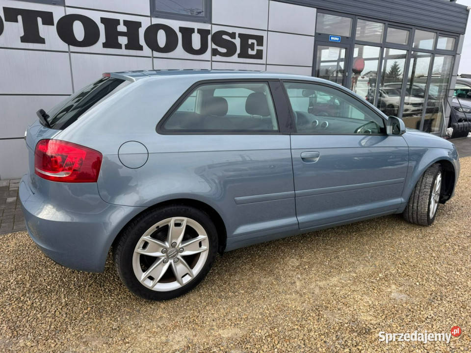 Audi A3 Sportback 16 mpi xenon pełny serwis 8P Chełm Śląski