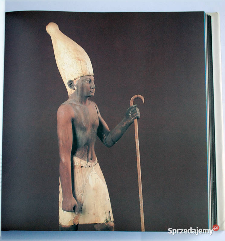 Egyptian Museum In Cairo A Walk Through the Łódź sprzedam