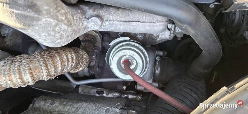 Passat Passat zachodniopomorskie