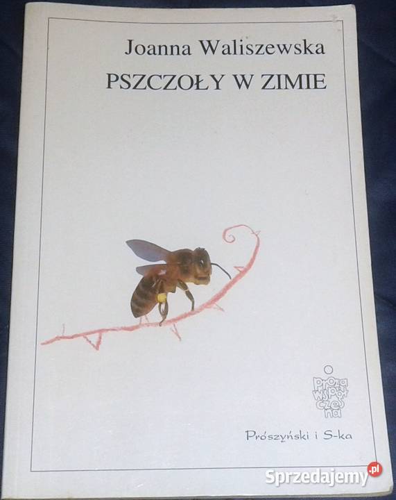 Pszczoły w zimie Joanna Waliszewska Rok wydania 1998 Chełm