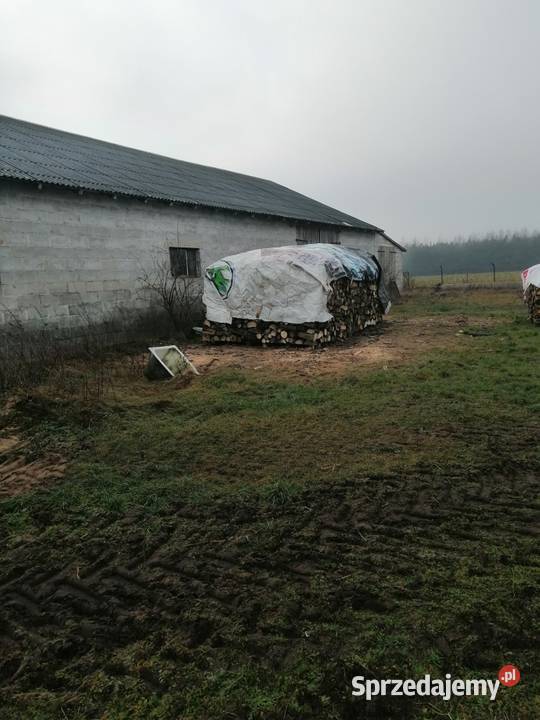 Syndyk sprzeda udział 18 w prawie własności Szreńsk sprzedam