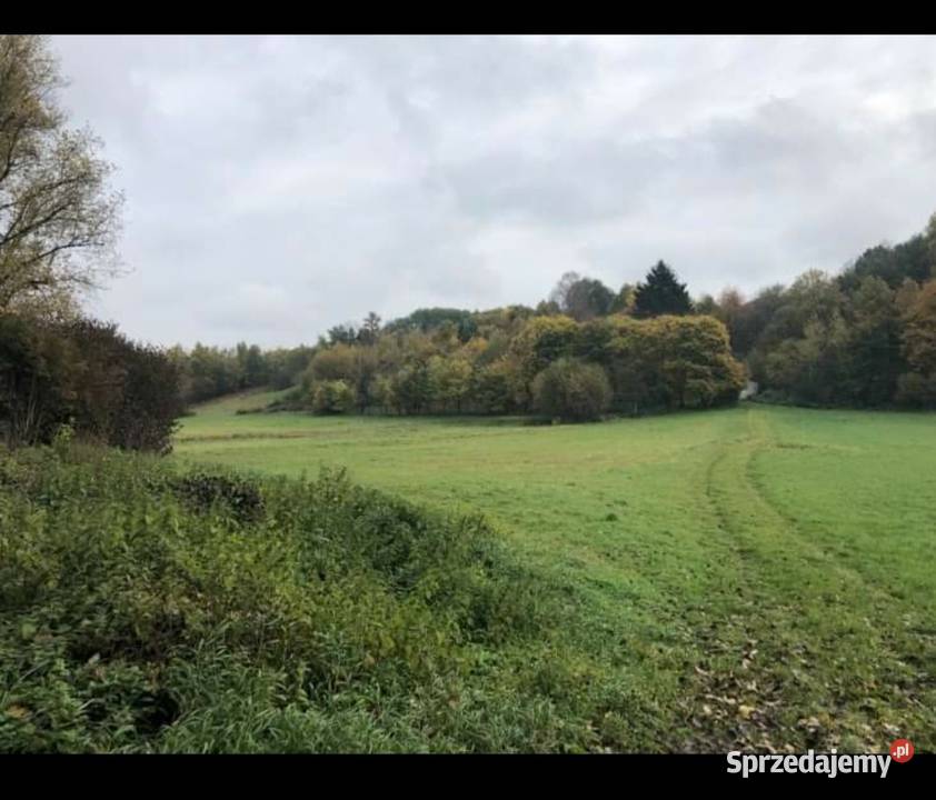 Działka 1677m wąwozie Rzeczyca Kolonia Kazimierz Kazimierz Dolny