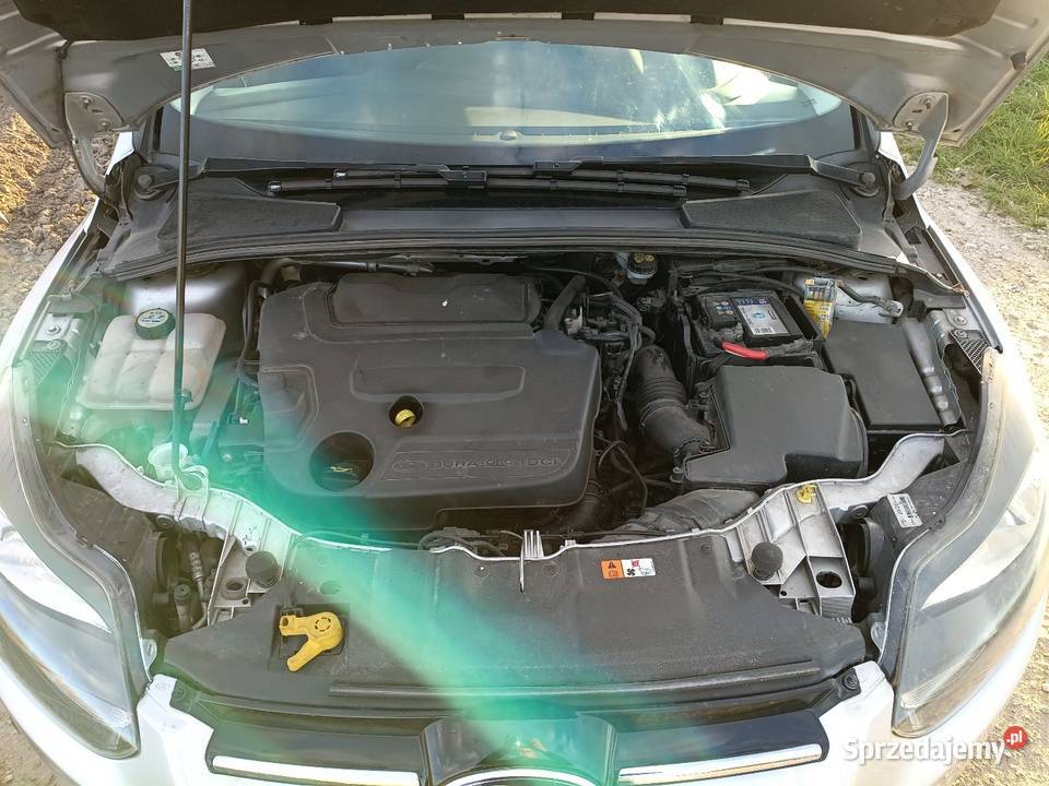 Ford Focus Mk3 20 TDCi Automat Nowy rozrząd kurtyny powietrzne Środa Wielkopolska