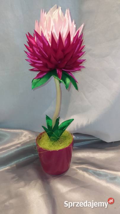 Kwiaty w doniczce flowers box dekoracje podkarpackie sprzedam