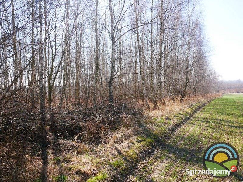 Morawica gm Liszki dzialka 2803 m2 pod produkcję inwestycyjna