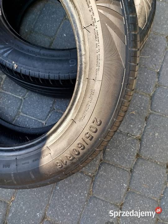 2056016 Lato Para Gniewkowo sprzedam