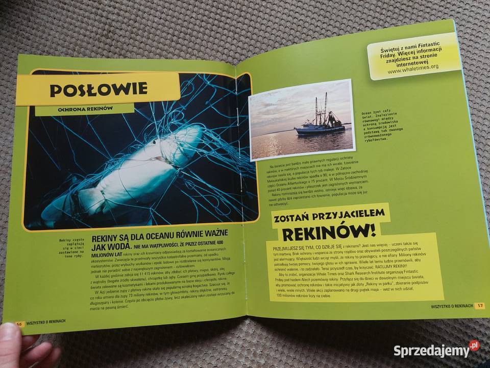 National Geographic Kids Wszystko o rekinach miękka Kraków