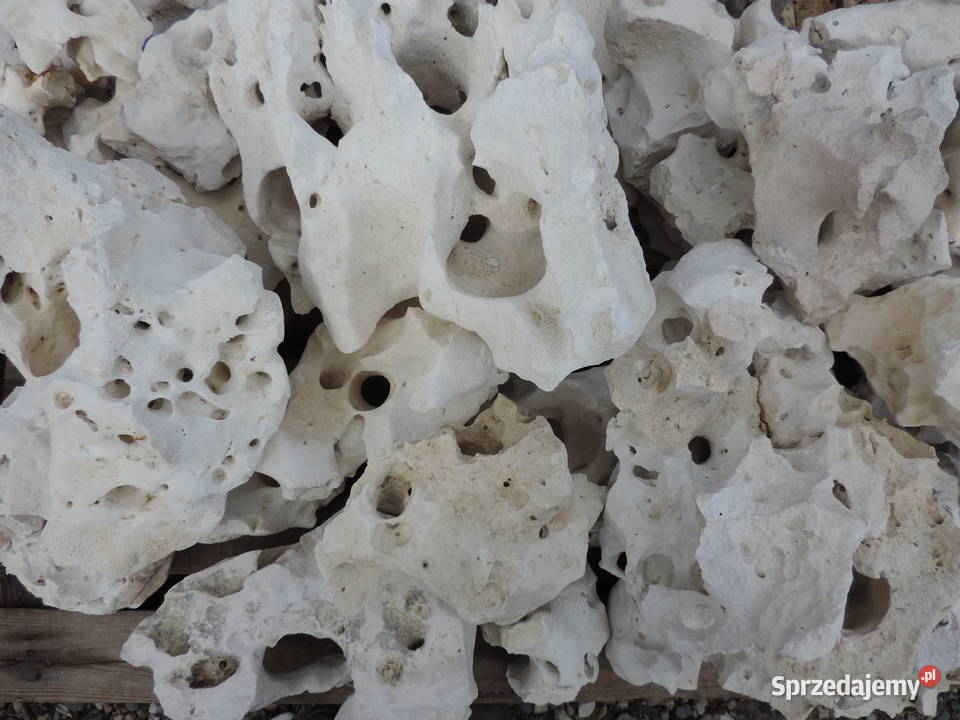 Wapień Filipiński Skała Bryła Kamień do akwarium